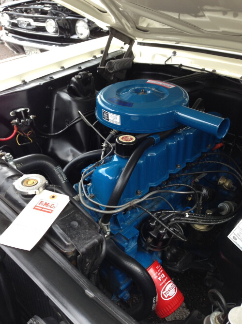 Mosteur-Mustang-1966---6-cylindres.jpg