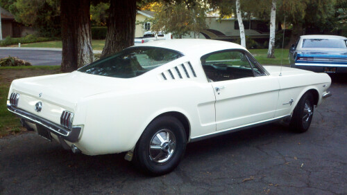 Mustang-1965---San-Francisco-Bay-Area.jpg