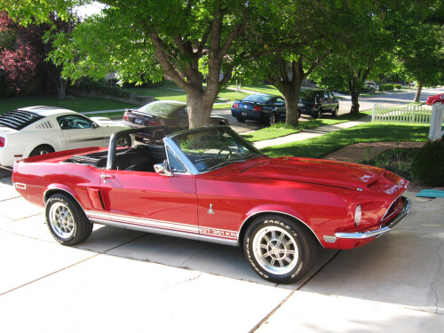 Mustang-GT-351KR.jpg