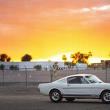 Mustang-1965-SHELBY-AMERICAN-GT350-SFM5S047__IMG_922244