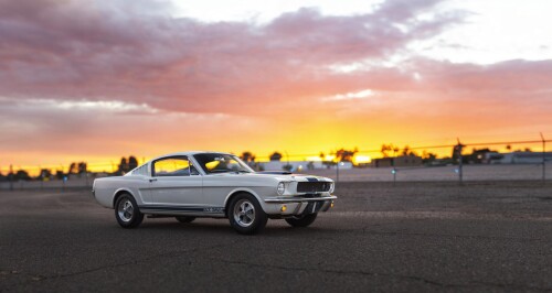 Mustang-1965-SHELBY-AMERICAN-GT350-SFM5S047__IMG_927345.jpg