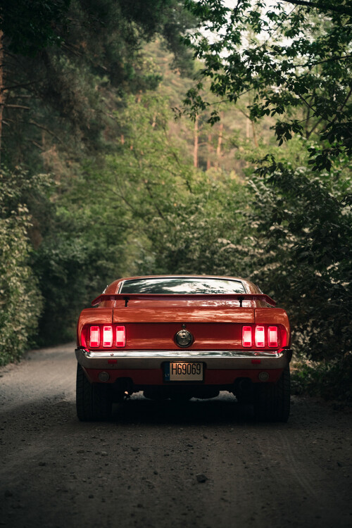 Mustang-Mach1-1969-11.jpg