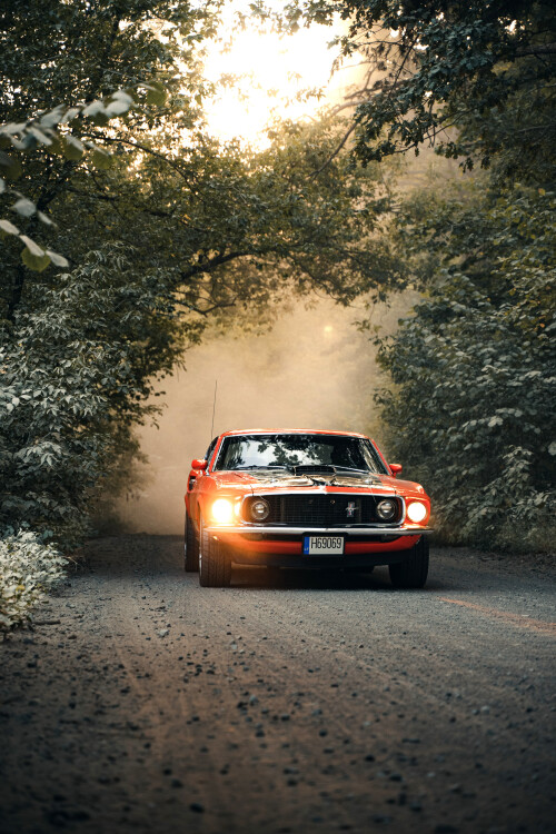 Mustang-Mach1-1969-12.jpg