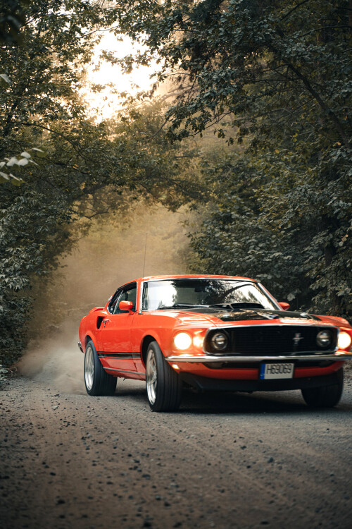 Mustang-Mach1-1969-14.jpg