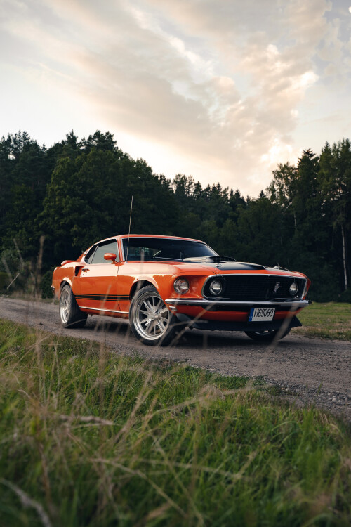 Mustang-Mach1-1969-7.jpg