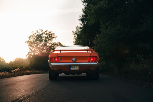 Mustang-Mach1-1969-9.jpg