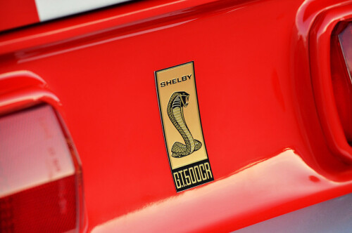logo-Mustang-shelby-gt500cr-coyote.jpg